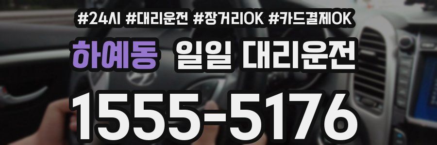 하예동 일일 대리운전