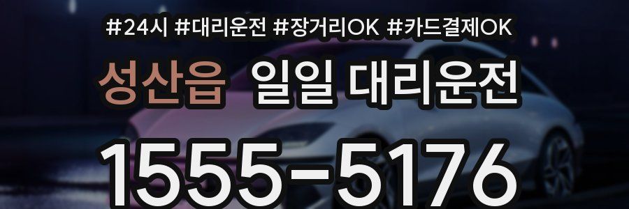 성산읍 일일 대리운전