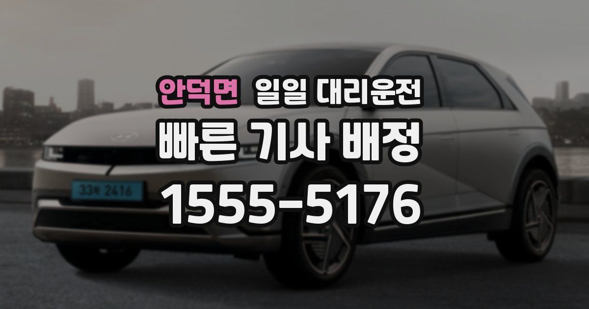 안덕면 일일 대리운전