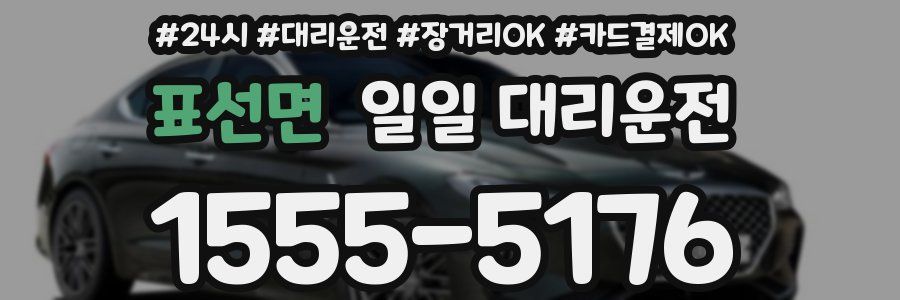 표선면 일일 대리운전