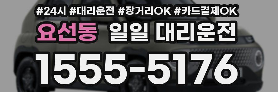 요선동 일일 대리운전