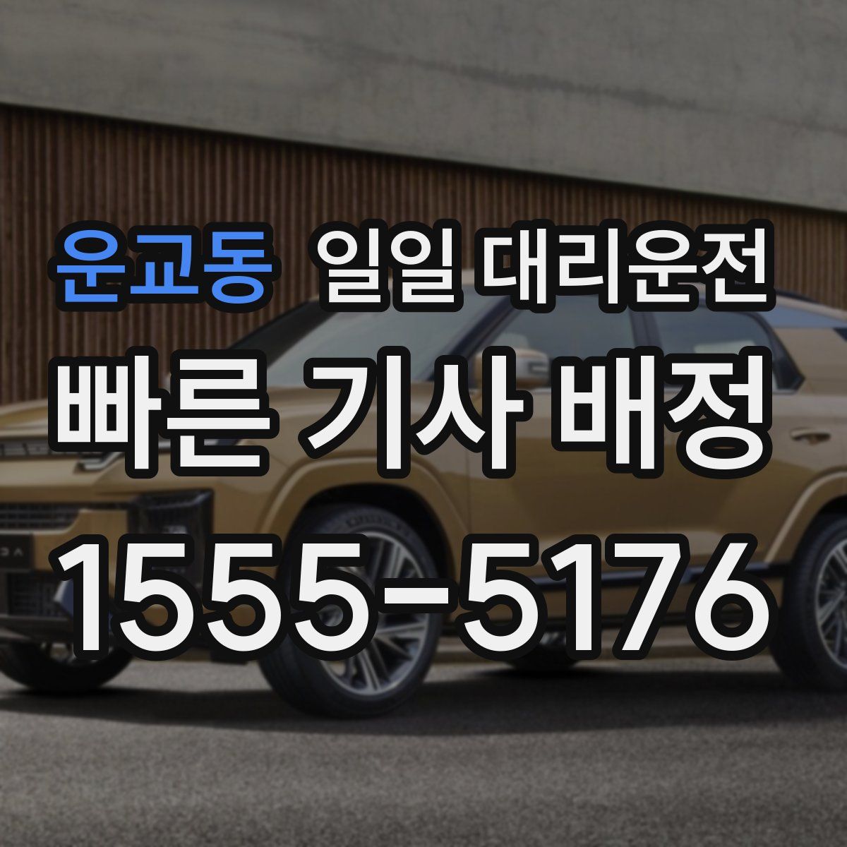 운교동 일일 대리운전