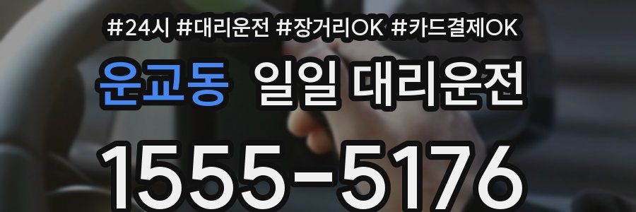 운교동 일일 대리운전