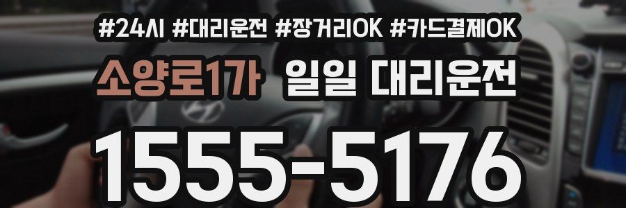 소양로1가 일일 대리운전