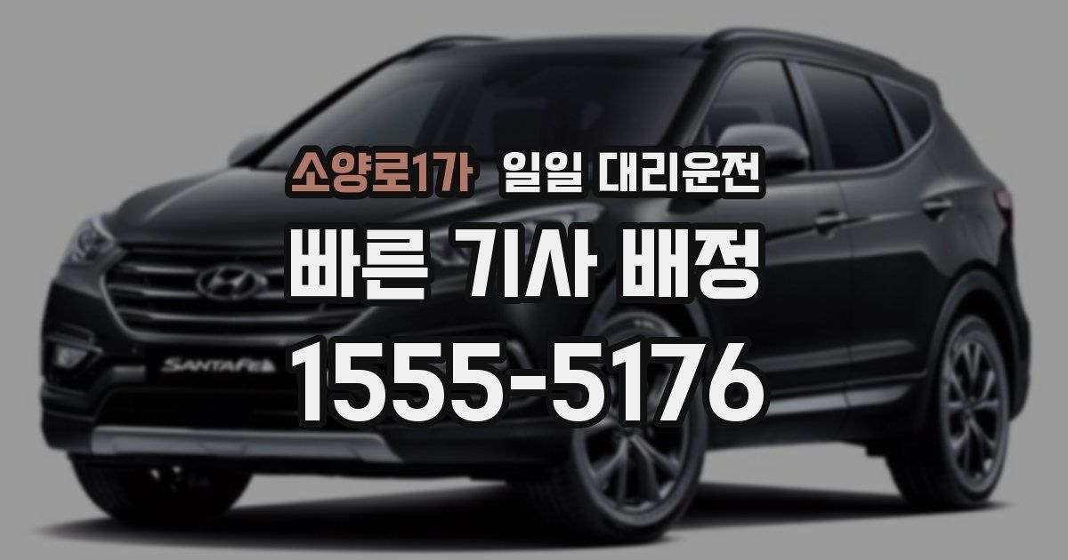 소양로1가 일일 대리운전