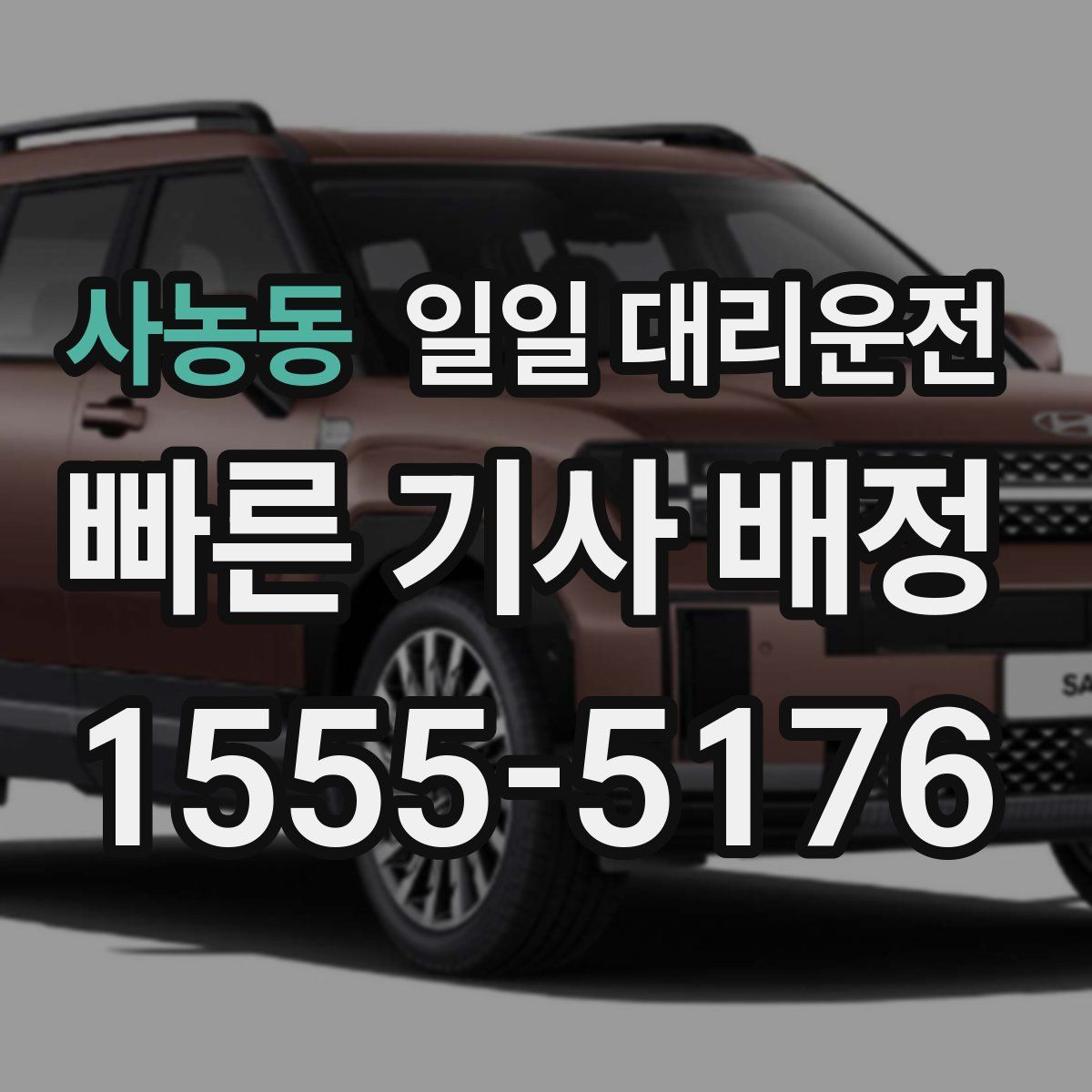 사농동 일일 대리운전
