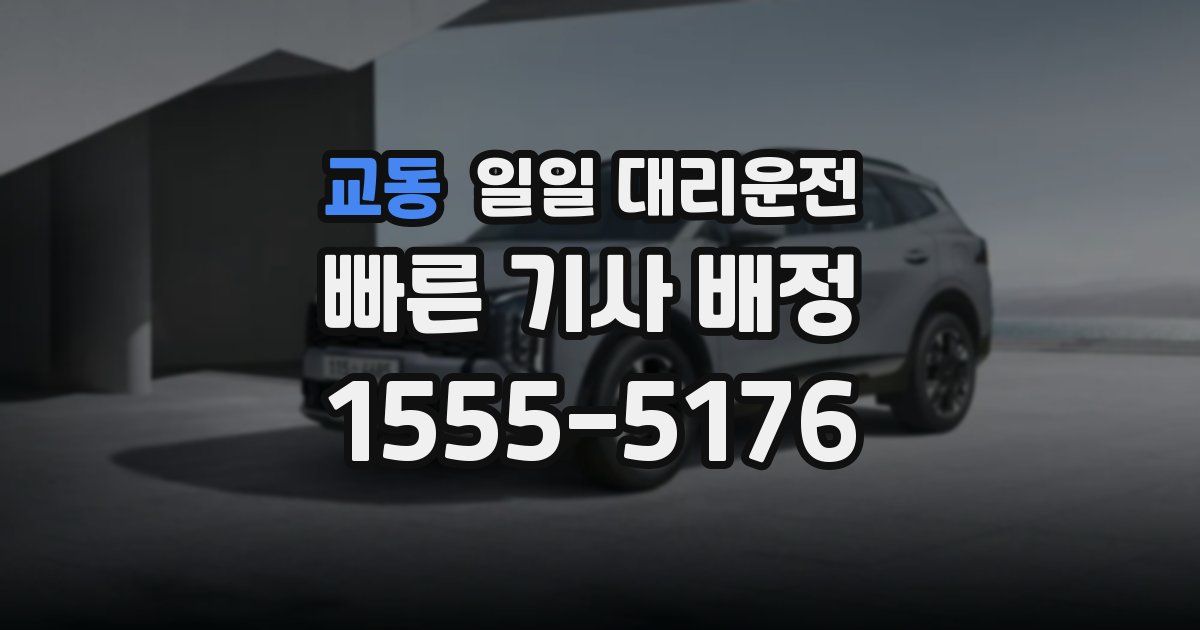 교동 일일 대리운전