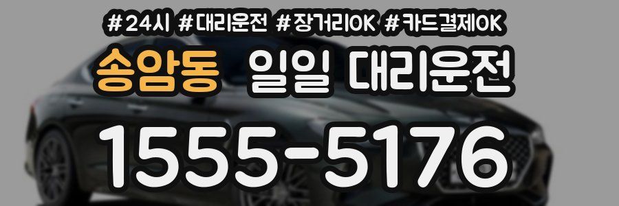 송암동 일일 대리운전