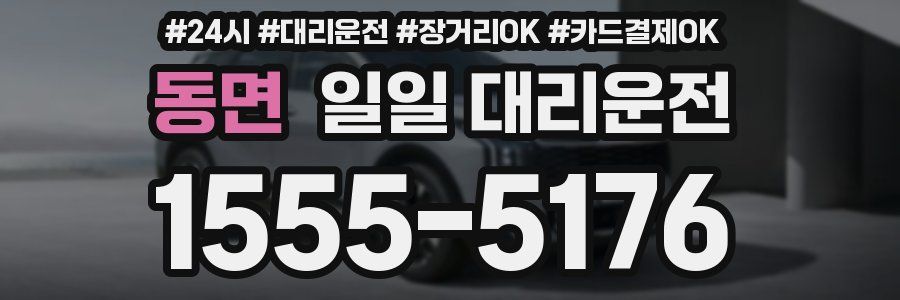 동면 일일 대리운전