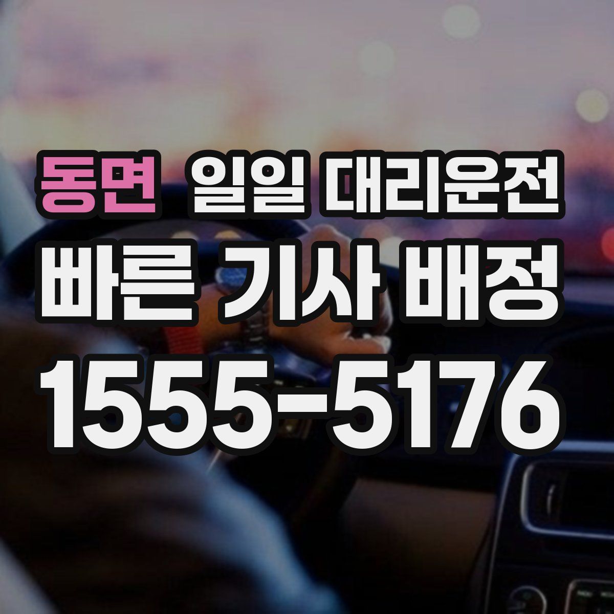 동면 일일 대리운전
