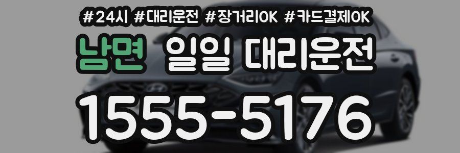 남면 일일 대리운전