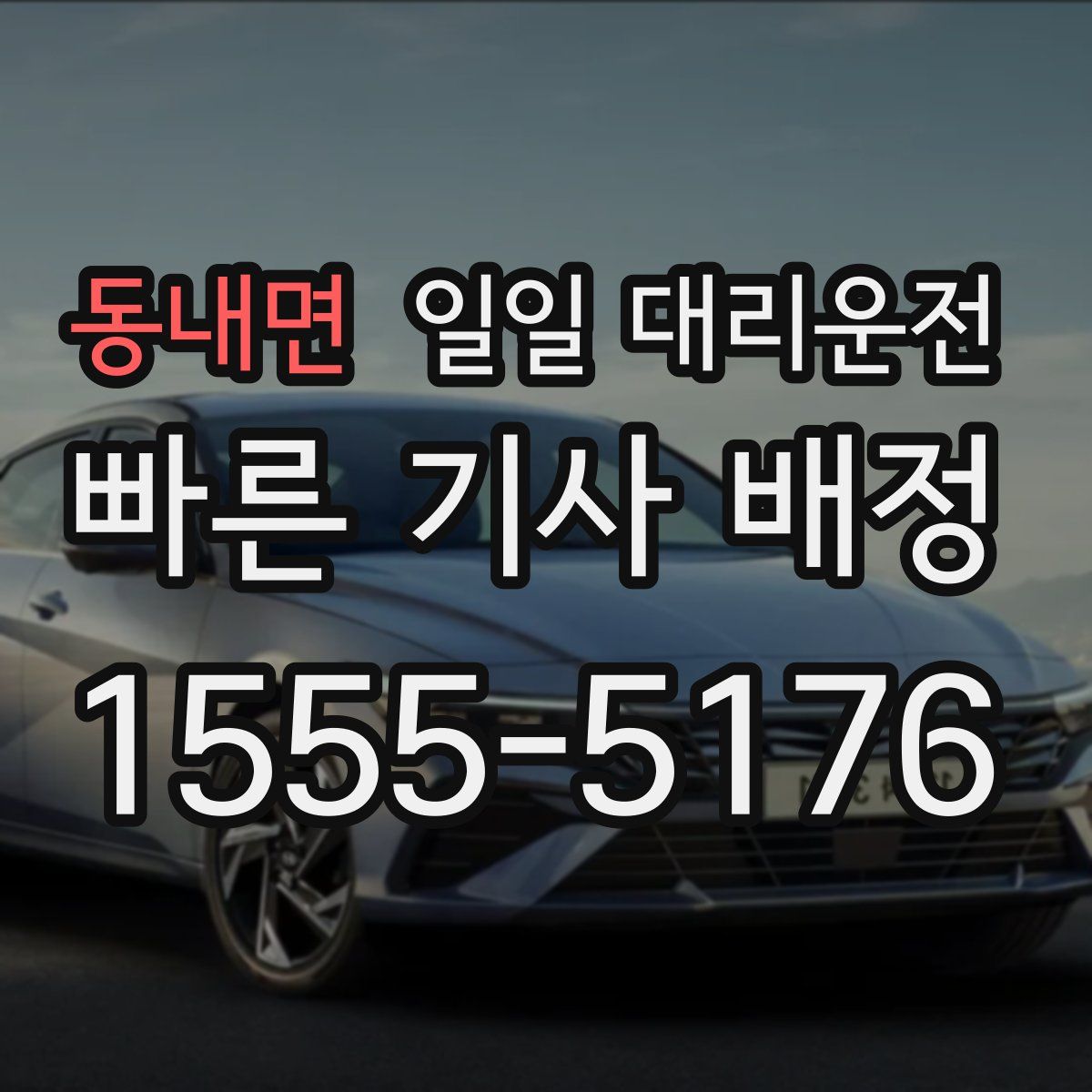 동내면 일일 대리운전