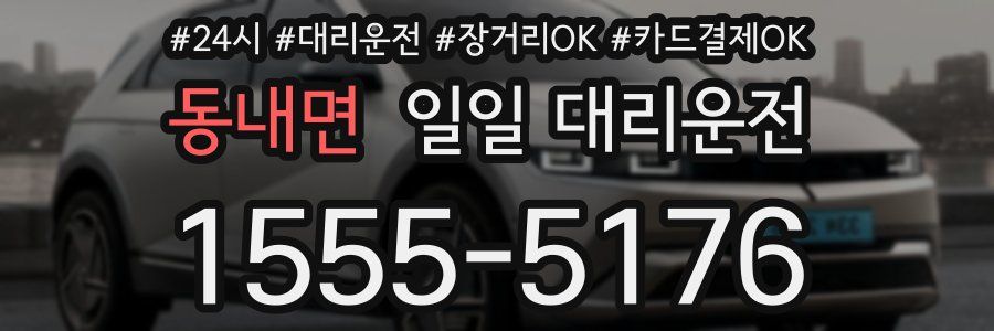 동내면 일일 대리운전