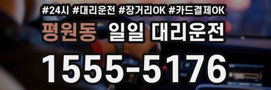 평원동 일일 대리운전