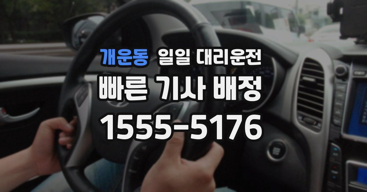 개운동 일일 대리운전