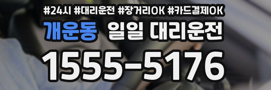 개운동 일일 대리운전