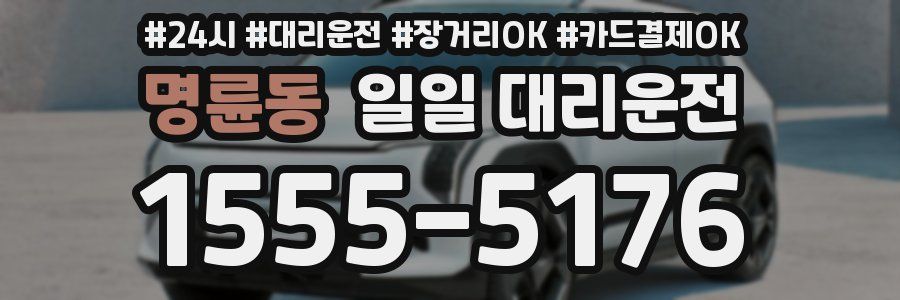 명륜동 일일 대리운전