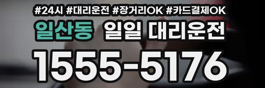 일산동 일일 대리운전
