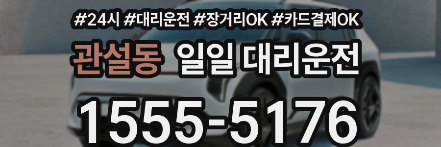관설동 일일 대리운전