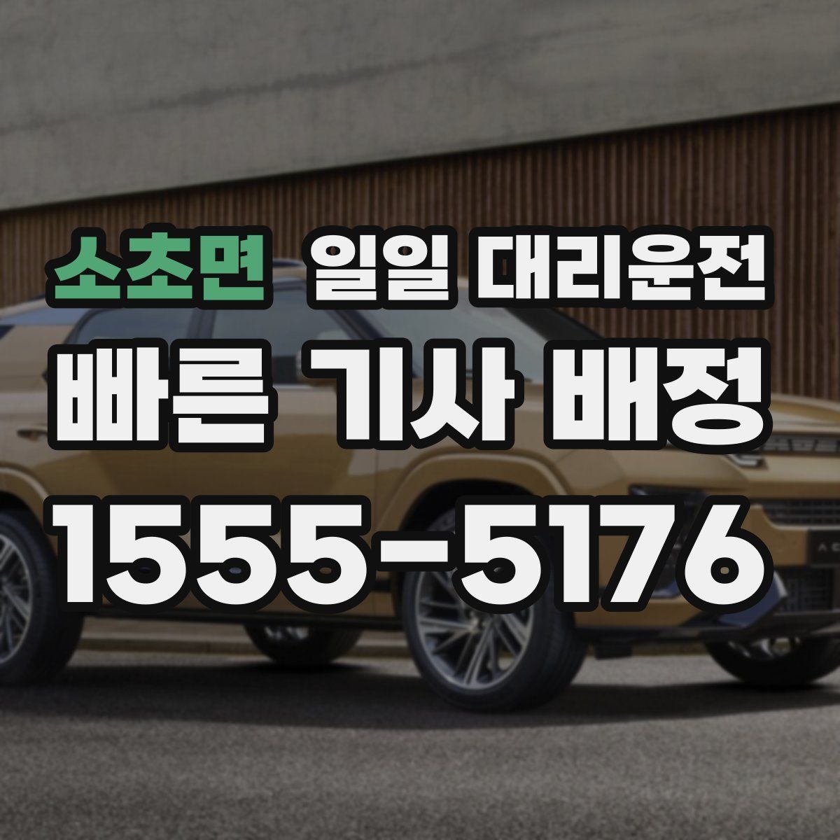 소초면 일일 대리운전