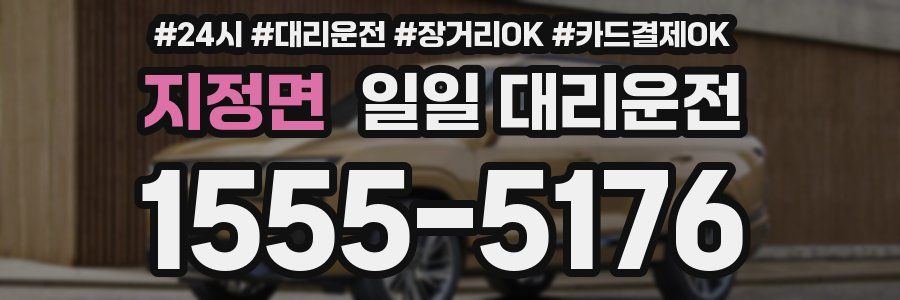 지정면 일일 대리운전