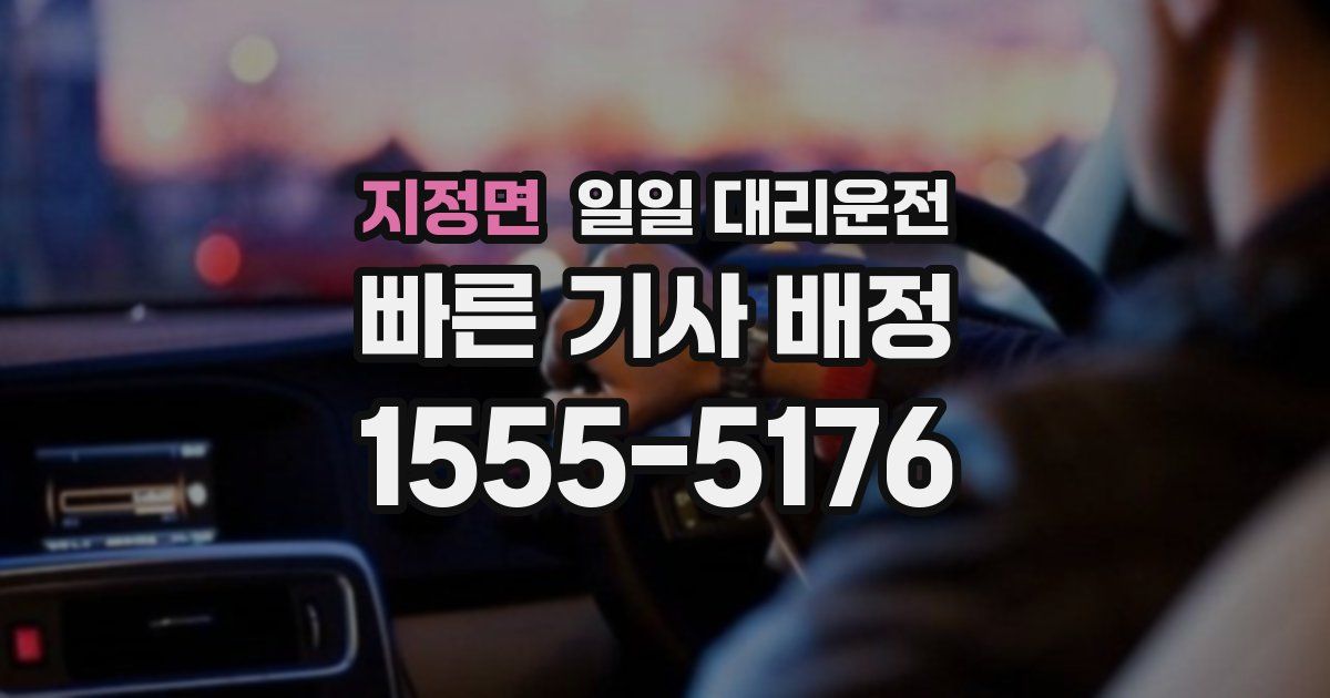 지정면 일일 대리운전