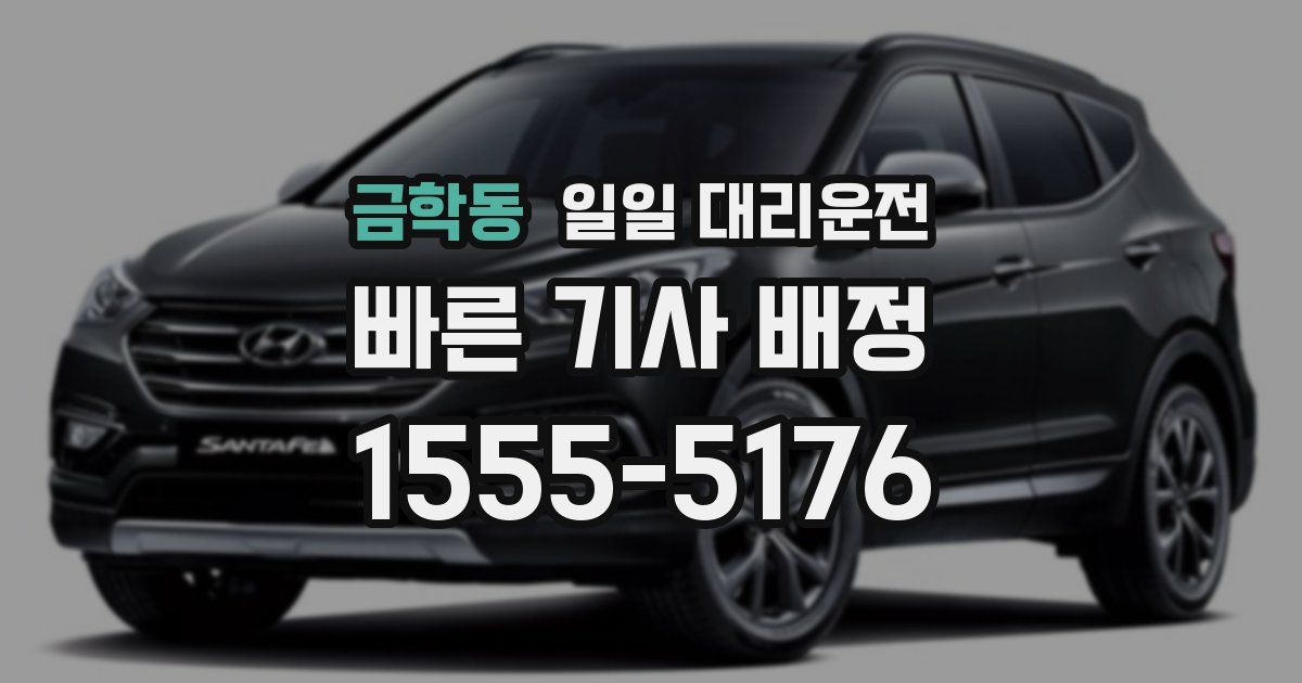 금학동 일일 대리운전