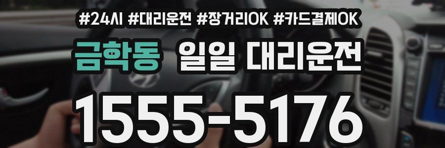 금학동 일일 대리운전