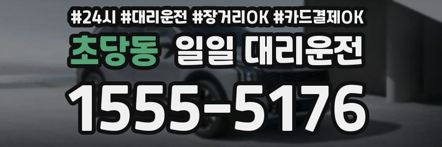 초당동 일일 대리운전