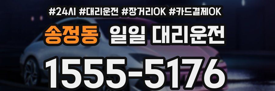 송정동 일일 대리운전