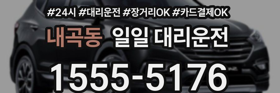 내곡동 일일 대리운전
