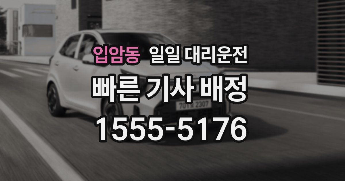 입암동 일일 대리운전