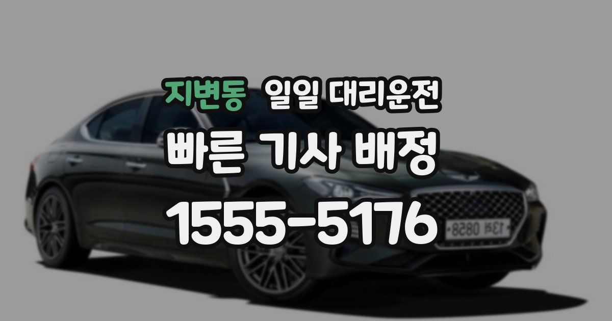 지변동 일일 대리운전