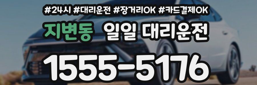 지변동 일일 대리운전