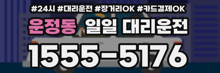 운정동 일일 대리운전