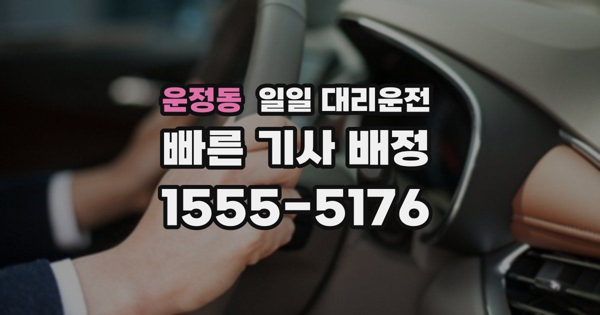 운정동 일일 대리운전