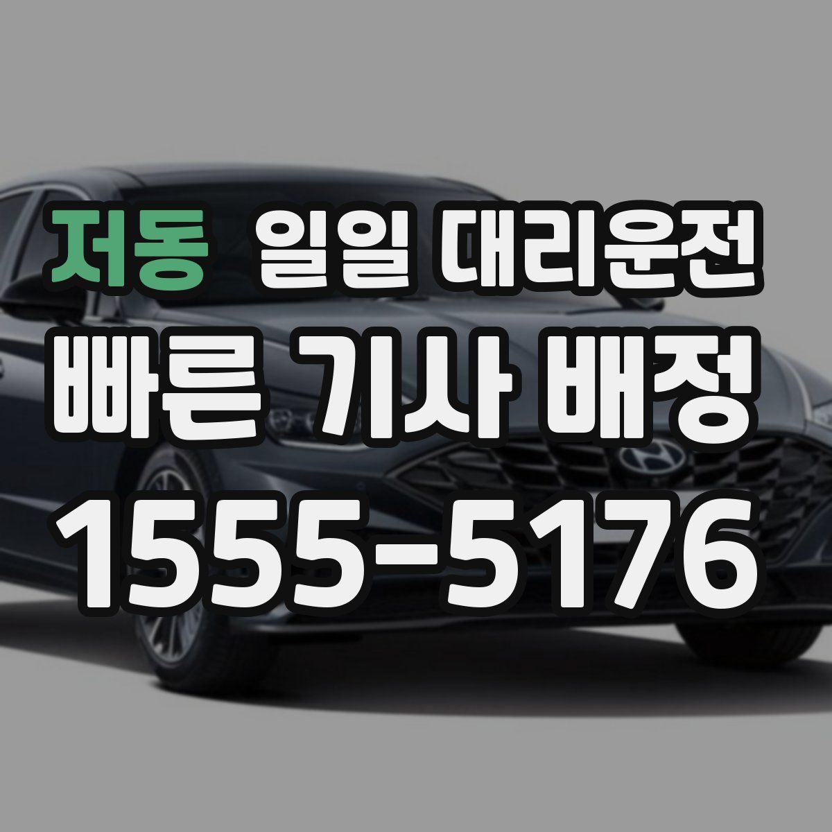 저동 일일 대리운전