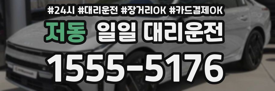 저동 일일 대리운전
