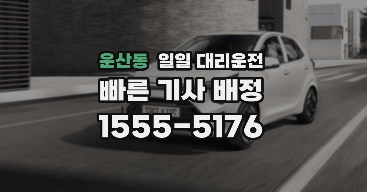 운산동 일일 대리운전