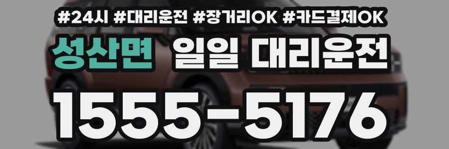 성산면 일일 대리운전