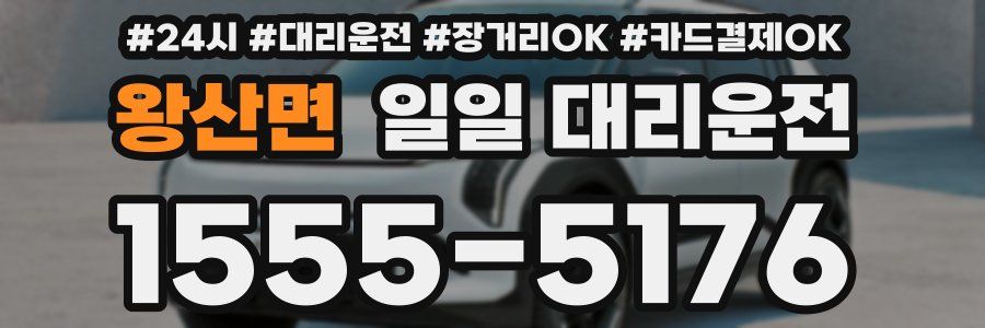 왕산면 일일 대리운전