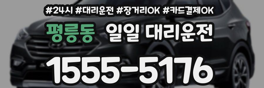 평릉동 일일 대리운전