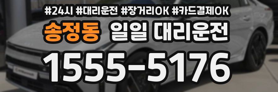 송정동 일일 대리운전