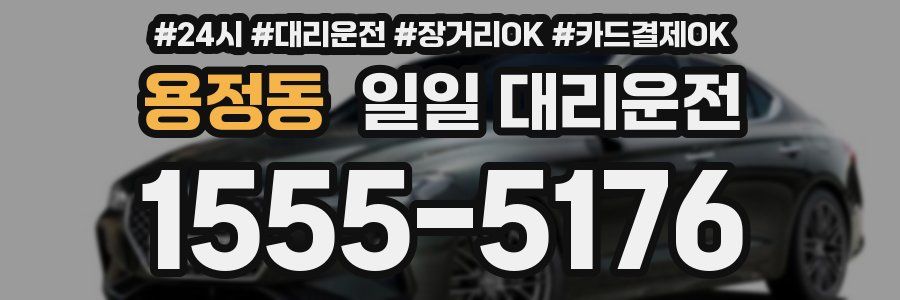 용정동 일일 대리운전