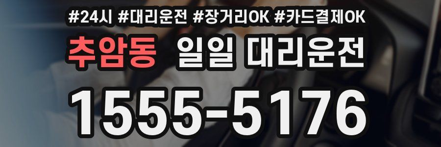 추암동 일일 대리운전