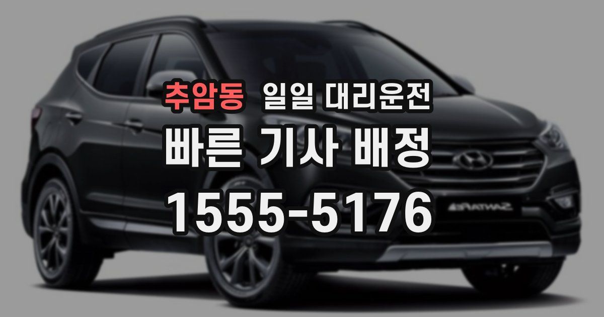 추암동 일일 대리운전
