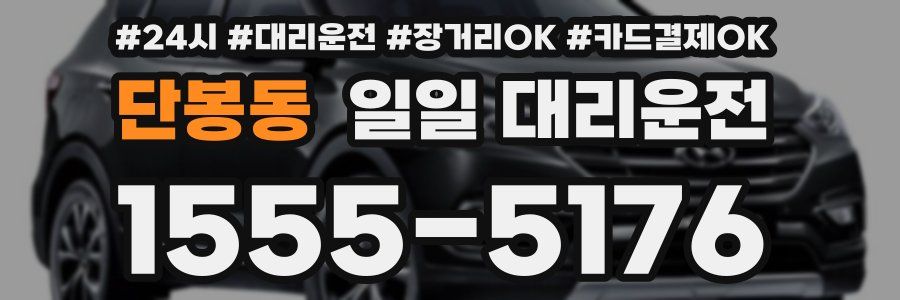 단봉동 일일 대리운전