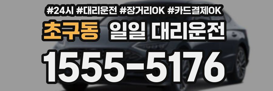 초구동 일일 대리운전