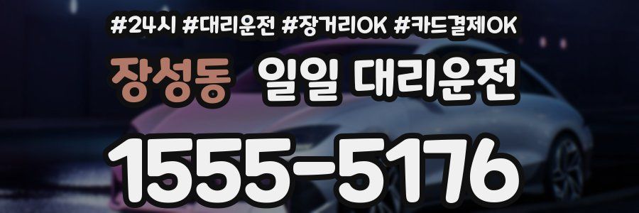 장성동 일일 대리운전
