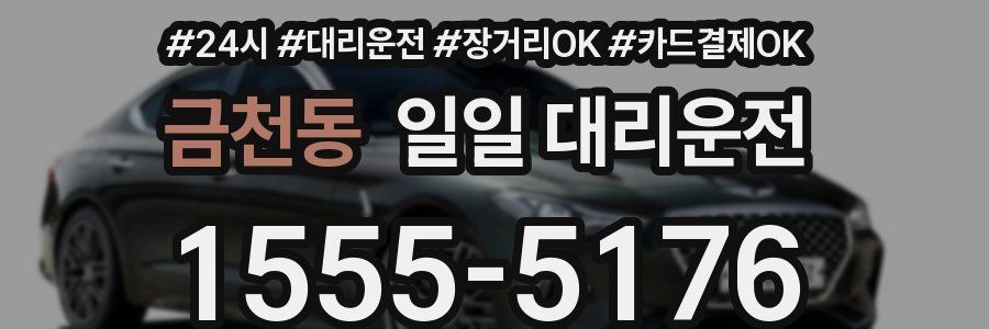 금천동 일일 대리운전
